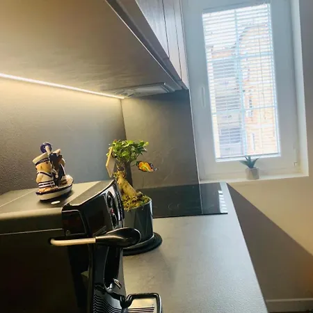 Cozy Apartamento Tirana