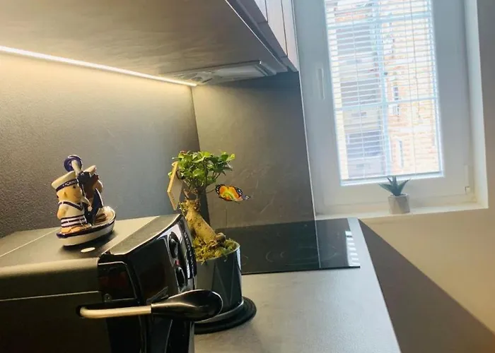 Cozy Apartamento Tirana