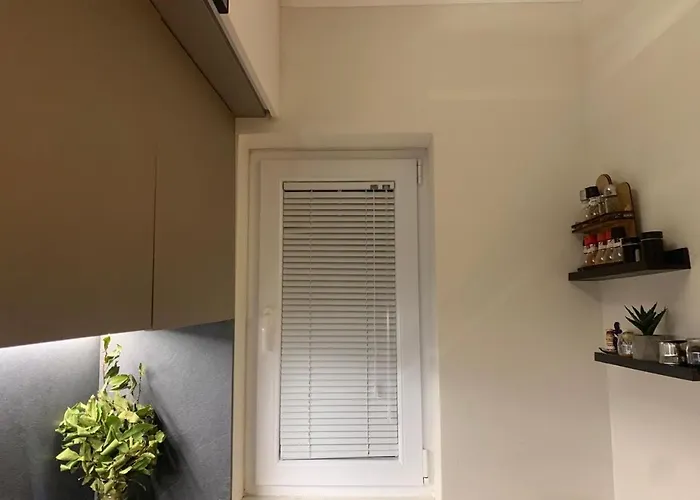 Cozy Apartamento Tirana